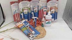 ชุดแปรงฟันสัตว์เลี้ยง แปรงฟันหมา แปรงฟันแมว ชูดแปรงฟัน ยาสีฟันหมา