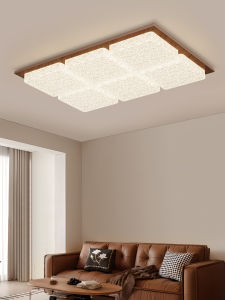 DGY | Elegant Minimalist Design Living Room Ceiling Light