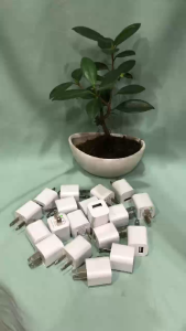 Cục sạc điện thoại JYS-0010 5V/1A sạc chậm giúp pin lâu và bền - MAI HUY - MSP 3120