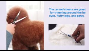 Pet scissorsTrimestar Pet Grooming Set: Professional Stainless Steel Scissors with Round Head Ideal for Pet Trimming and Dog Grooming Shaver - Includes Pet Trimming Scissors and Dog Scissors for Grooming