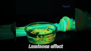 Yasuit Shoelace Double Layer Tali Kasut Shoe Lace Luminous Fluorescent Glow In The Dark Adult Colorful Good Quality Economy Ekonomi Ready Stock Malaysia Seller