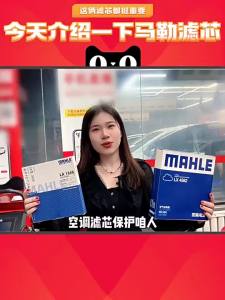 Mahle | Bộ Lọc Không Khí Ô Tô LX6062