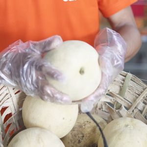SukiGrocer Potato Large 400-500g [Patatas]