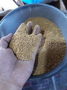 Pur Ayam Pedaging 1kg Pakan Ayam Penggemuk