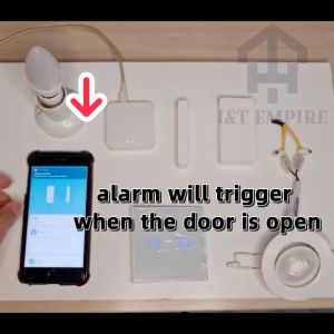 I&T EMPIRE_Tuya Zigbee Smart Door Sensor Window Wireless Open/Closed Sensor Alarm For Alexa Google Home