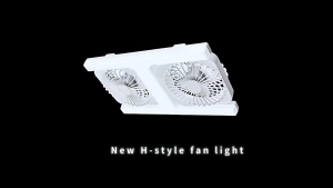BHQ 2 in1 Ceiling Fan Light E27 60W Dual Head Adjustable LED Remote Control Silent Bedroom Living Room 风扇灯