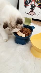 ชามอาหารสัตว์ ทรงหูหมี แบบเอียง 15 องศา มี4สีให้เลือก