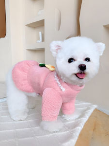 Mùa Thu Đông Váy Cho Chó Miley Pomeranian Yorkie Teddy Bichon Ấm Áp Quần Áo Cho Thú Cưng Quần Áo Mùa Đông Cho Mèo