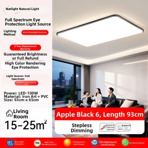 Smile | Ultra-thin Modern Slim Rectangular Ceiling Light