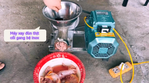 Máy xay đùn thịt xương cối 12 gang đế inoxMáy nghiền đùn thịt xương đa năng bệ inox motor 1.1KW-1.5KW.