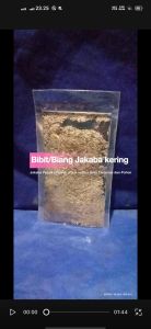 Bibit atau Biang Jakaba Kering