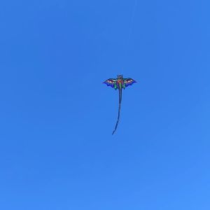 Dragon Kite: A Fun & Educational Outdoor Toy for Parent-Child Interaction