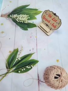 Combo 10 Quần Lót Nữ Thun Lạnh Gân Siêu Mát Thích Hợp Cho Các Bạn Nữ Từ Size :50 - 65 Kg (833)  - Đồ Lót Quỳnh Anh