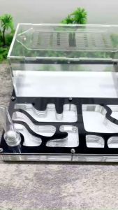 Hộp nuôi kiến kích thước 20-20-10cm