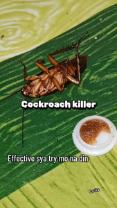 Kills all cockroaches in one use. Effective Cockroach Killer Death from infection Multifunctional insect baits traps Effective against cockroaches flies and ants Non-toxic to pet and people Cockroach Gel Cockroach Bait ipis killer