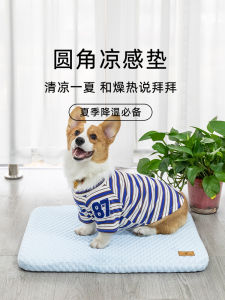 Removable And Washable Ice Silk Dog Mat Summer Cooling Bed Small Medium Pet Mat Cat Nap Mat Comfortable Soft Floor Cushion