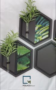 Kệ tổ ong treo tường kệ dán tường kèm ống nghiệm cắm hoa cây nhỏ trang trí nhà cửa phòng khách MOLAGO - LC