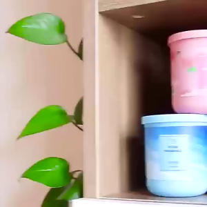 Natural Long Lasting Solid Air Freshener for Bedroom Car Toilet Multi Use Aroma Balm Portable Odor Eliminator Home Fragrance