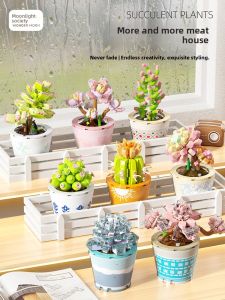 WONDER MOON | Cute Cactus Style Ins Inspired DIY Building Blocks