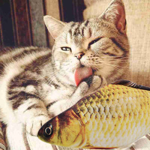 【Loose】 20cm ตูนกัน ปลา ตูนกันปลาแมว ของเล่นแมว ตัวใหญ่มีซิป บรรเทาความเครียดของแมว