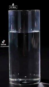 ผลิตภัณฑ์อาหารของผู้หญิง ผลิตภัณฑ์อาหารของผู้หญิง อาหารของผู้หญิง ไข่แดงผสมตับ ผลิตภัณฑ์อาหารของผู้หญิง อาหารของผู้หญิง เนื้อเป็ด เนื้อสัตว์แท้ เนื้อไก่แท้ ไม่มีวัตถุเจือปน เนื้อปลาแซลมอน