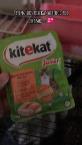 All Stages Adult Kitten 70g Kitekat Cat Wet Food Cats Snack Pouch