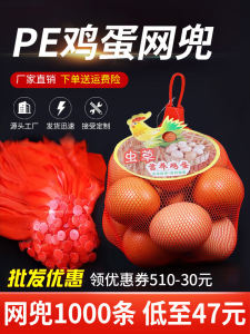 New PE Plastic Egg-Shaped Net Bag Soft Material Fine Mesh Coal Soil Style Egg Packaging Bag Egg Net Bag