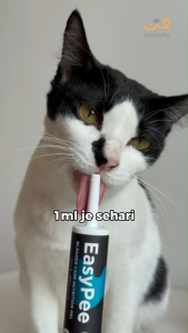 Kokoro Easy Pee Cat Bladder Care Nutrition Gel 76g |猫咪泌尿系统护理营养凝胶