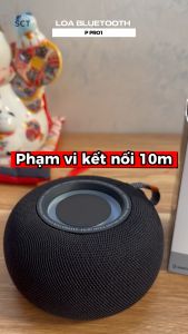 ( SALE 50% ) Loa Bluetooth Không Dây Cầm Tay P Pro 1 - Trải Nghiệm Âm Thanh Tuyệt Vời Vớ Bass Mạnh Mẽ Thiết Kế Năng Động và Pin Trâu - Nghe Nhạc Mọi Lúc Mọi Nơi