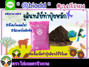 จุลินทรีย์เพื่อทำปุ๋ยหมัก