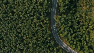 Lều cắm trại lều dã ngoại tự động cho 3-4 người hai lớp vải chống tia UV chống thấm lều picnic gia đình