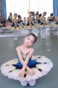 Ballet Dance Skirt Childrens Professional Tulle Skirt Adult Puffy Skirt Performance Costume Exam Fairy Tale Sleeping Beauty