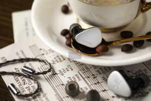 Kiwi Ears Quintet In Ear Monitor 1DD + 2BA + 1 Planar + 1 PZT Hybrid Driver Earphone with Detachable silver-plated OFC Cable Metal Faceplate 3D-Printed Resin Shell for Musician Audiophile headset