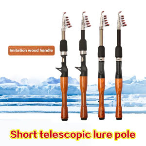 Telescopic fishing rod with cork handle carbon fiber portable fishing rod tool accessories outdoor throwing fishing