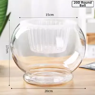 Modern Simplicity Glass Flower Vase Bowl Lotus Water Cultivation Daffodil Plant Desktop Decorative Piece for Living Room Balcony