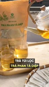 Combo 50 gói Trà túi lọc Phan Tả diệp - Hàng công ty Thảo Dược Việt