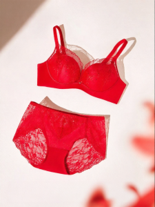 ManiForm | Lace Bra Women Lifting Wire-Free Underwear Set