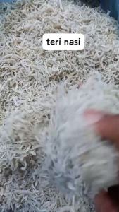 ikan asin teri medan / teri nasi 1 kg murah best seller