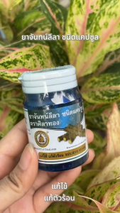 ยาจันทน์ลีลา ชนิดแคปซูล ตราศิลาทอง ช่วยแก้ไข้