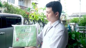 ขุยมะพร้าวอัดก้อน Grow Plus coco peat (5 ก้อน) ล้างสารแทนนิน ปลอดเชื้อ