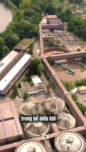 Chế phẩm vi sinh EMZONE. Chuyên gia xử lý nước thải rác thải- xử lý chuồng traiphân hủy nhanh khử mùi tức thì. gói1Kg