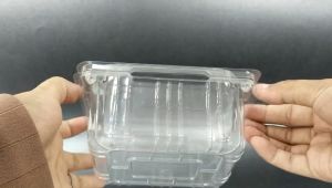 Tray Mika Strawberry Kelengkeng Leci 250 Gr | Mika Buah Tebal