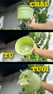 Chậu tự tưới Trơn VIETPOT size 19x15cm thông minh trang trí nhà cửa ban công sân vườn.