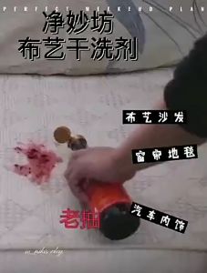 K0207 Nordic New 500ml Fabric Dry Cleaning Agent Carpet Cleaner Sofa Cleaner 布艺干洗剂 500ml