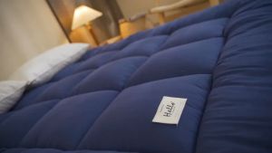 Thicker 10cm Single Mattress Tatami Topper Queen/King Tilam Matress Feather Velvet Soft Tilam Foldable Matress 羽丝绒床垫