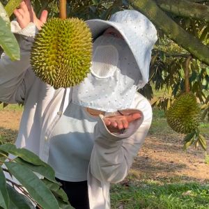 ปูดิกาอะไรบ้าง 1 รูปภาพ 1 ห้องบ้าง 3 ซื้อขายที่เปิดตาดอก 4 เพิ่มผลผลิต 5 เพิ่มเนื้อ 6 เพิ่มน้ำหนัก 7 เข้าสี 8 ขนาด 1 ลิตร