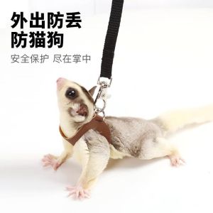 Outdoor Leash for Pet Petaurant Golden Retriever Pine Branch Mouse Portable Anti-Lost Harness Dog Toy Cat Toy Pet Supplies