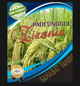 benih padi zizania unggal 5kg