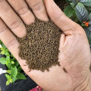 Cám vỗ béo cá vàng ranchu Oranda Mega Jumbo (Hạt chìm) - Thức ăn giúp cá mau lớn giàu đạm lên màu đẹp ( phân phối chính hãng )