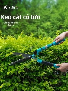 Zhang Xiaoquan | Kéo Cắt Cây Vườn Lớn Mạnh